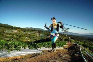 BIB: 49793
                            <button type="button" onclick="openModal(19119903)" class="btn btn-primary btn-sm float-right btn-popup" data-toggle="modal" data-target=".modal-high-quality">
                        <i class="fas fa-shopping-cart"></i> Add to Cart
                    </button>
                                            <button type="button" onclick="isThisMe(19119903, true)" class="btn btn-success btn-sm float-right btn-popup btn-isme hidden" data-toggle="tooltip" data-placement="bottom" title="นี่คือรูปของคุณใช่ไหม คลิกที่นี่เพื่อเอาเข้าอัลบั้ม">
                        <i class="fas fa-plus"></i> Add to album
                    </button>
                    <button type="button" onclick="isThisMe(19119903, false)" class="btn btn-warning btn-sm float-right btn-popup btn-isnotme hidden">
                        <i class="fas fa-ban"></i> Remove from album
                    </button>